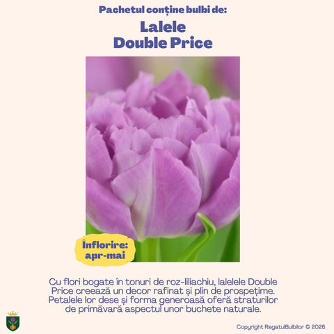 Colecția Lalele Elegance – 20 bulbi lalele bătute | Regatul Bulbilor