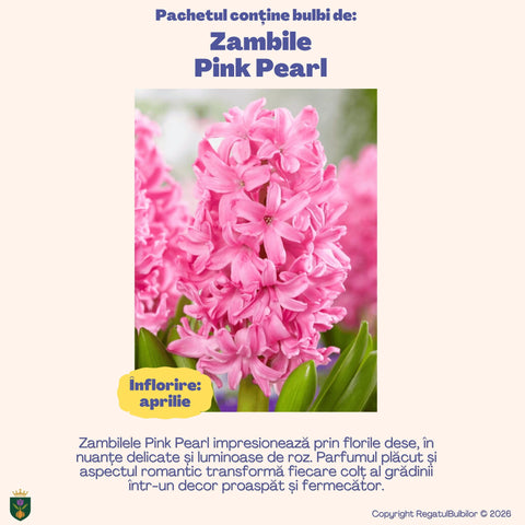 Colecția Zambile Parfum Floral – Mix 10 bulbi de zambile parfumate, multicolor
