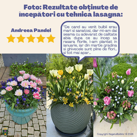 Vestitorii Primăverii – Pachet 60 bulbi de flori, Lalele, Muscari și Brândușe